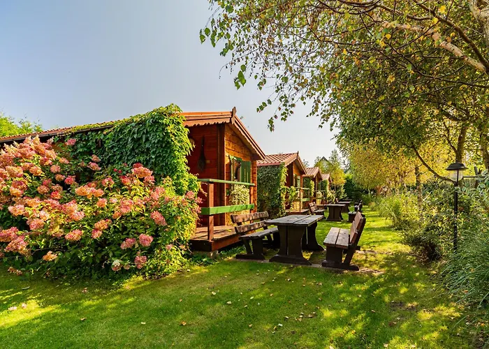 Letniskowe Wiktoria ロッジ *